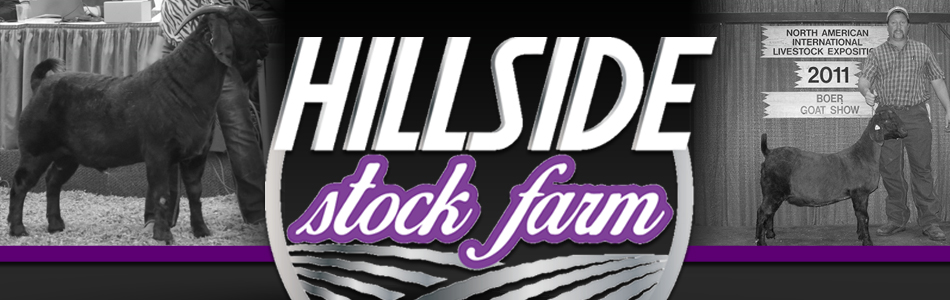 Hillside Stock Farm