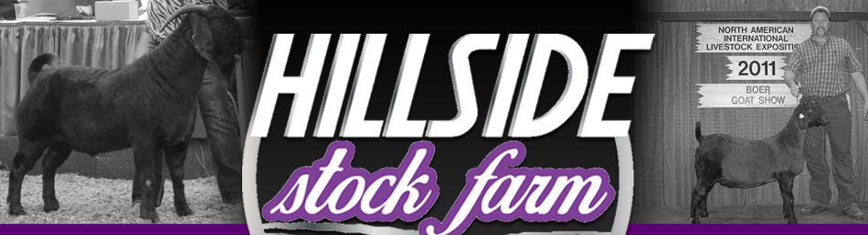 Hillside Stock Farm